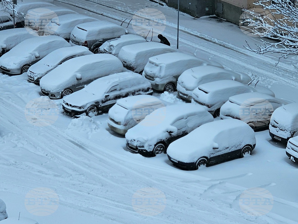 Русе - зима - сняг - обстановка