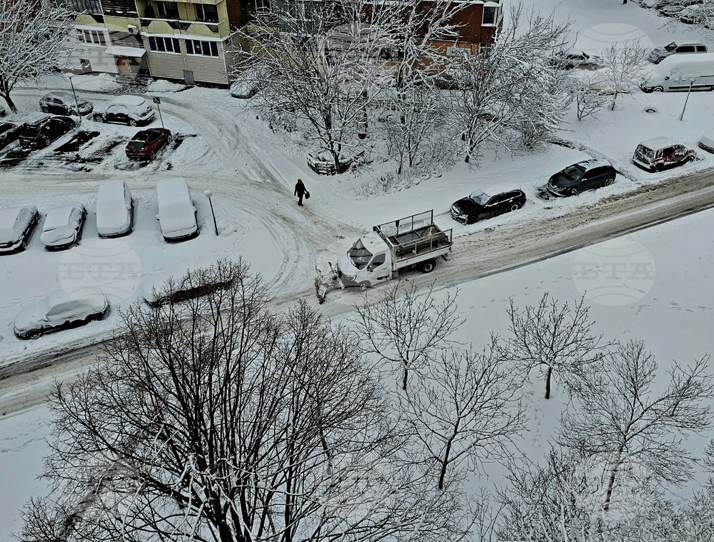 Русе - зима - сняг - обстановка