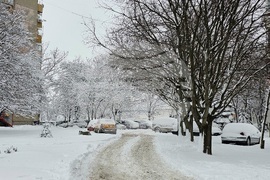 Русе - зима - сняг - обстановка