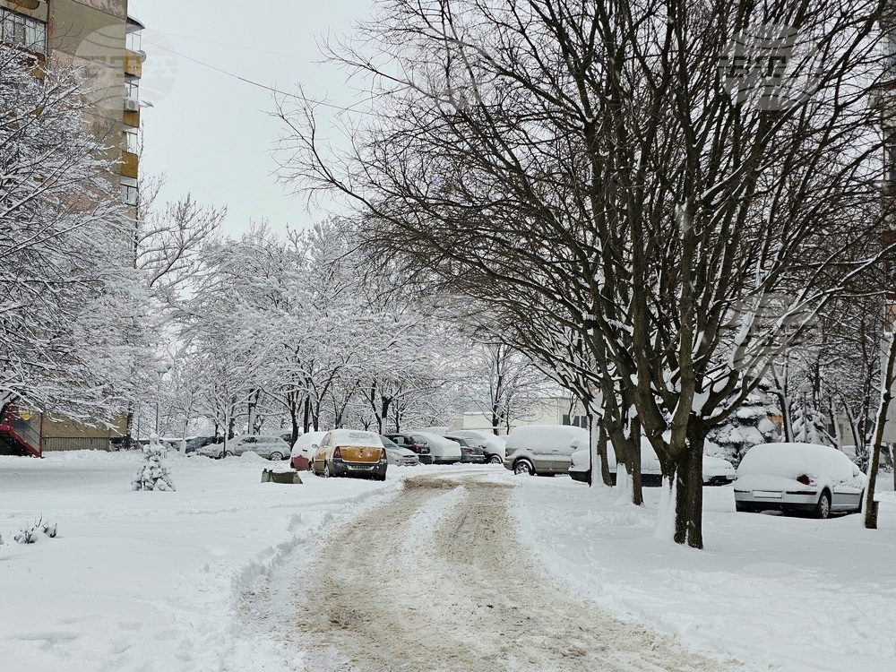 Русе - зима - сняг - обстановка