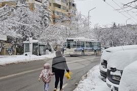 Русе - зима - сняг - обстановка