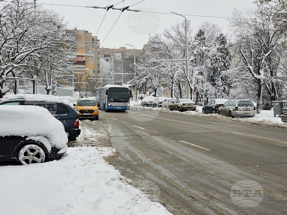Русе - зима - сняг - обстановка