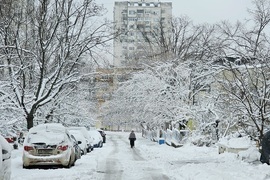 Русе - зима - сняг - обстановка