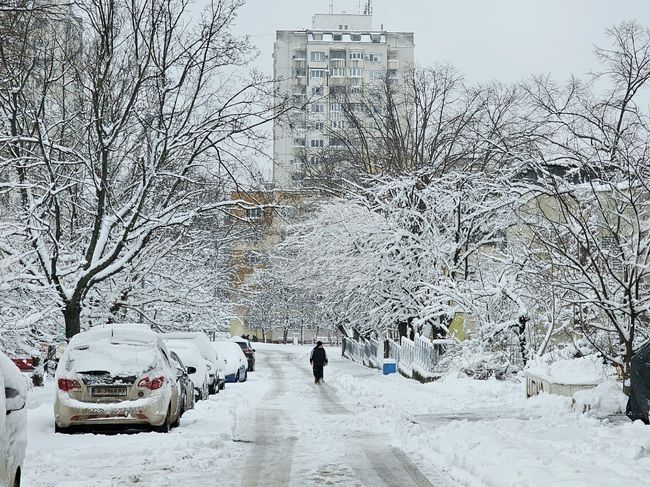 Русе - зима - сняг - обстановка