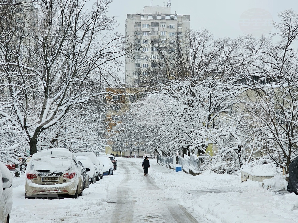 Русе - зима - сняг - обстановка