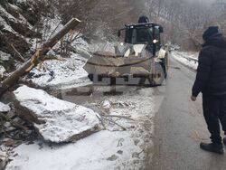 Снимка: АПИ