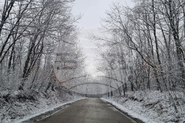Търговище - снеговалеж - пътна мрежа