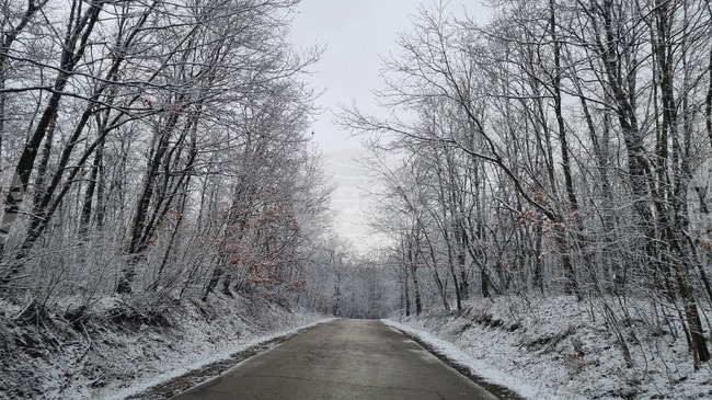 Общо 28 машини обработват пътищата в Търговищка област срещу заледяване