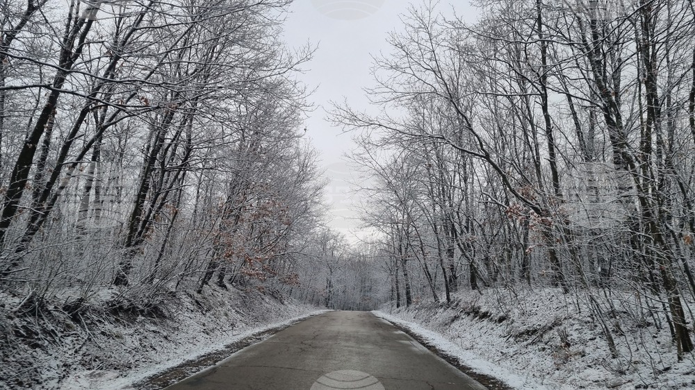 Търговище - снеговалеж - пътна мрежа