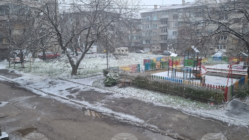 Търговище - снеговалеж - пътна мрежа