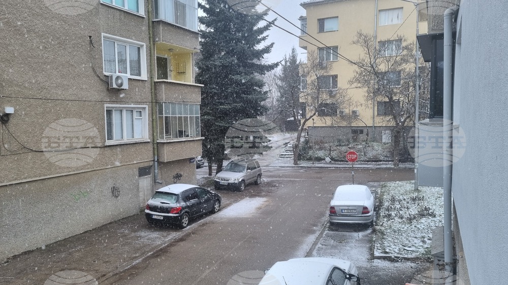 Търговище - снеговалеж - пътна мрежа