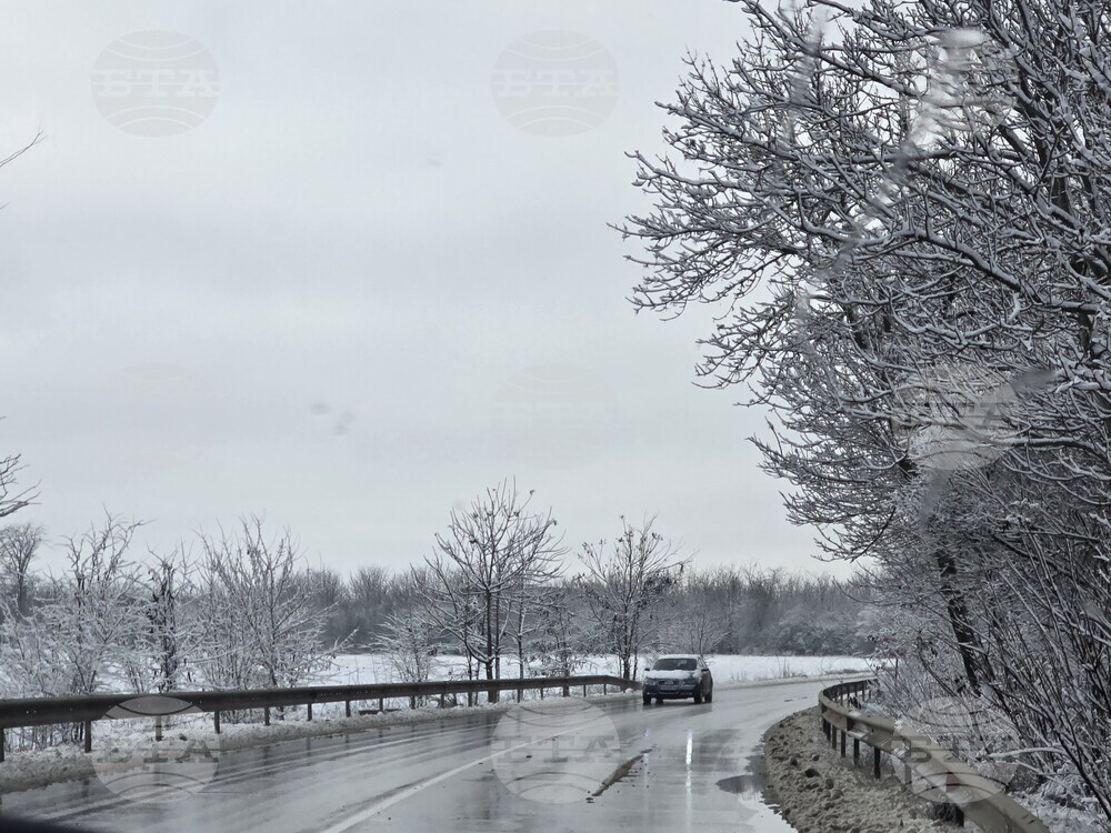 Добрич - улици - парк - сняг