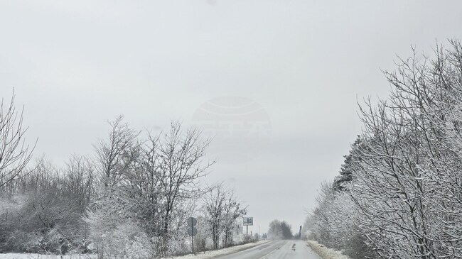 Пътищата в област Добрич са проходими при зимни условия