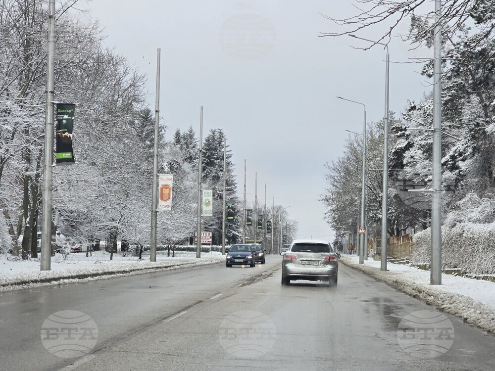 Добрич - улици - парк - сняг