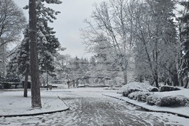 Добрич - улици - парк - сняг