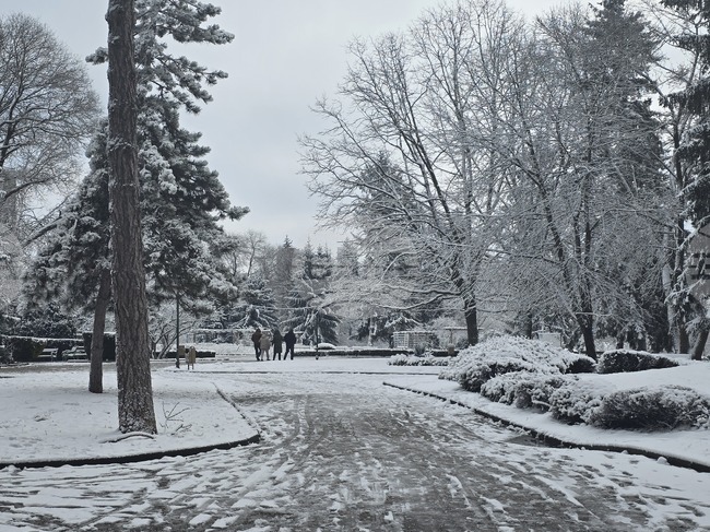 Добрич - улици - парк - сняг