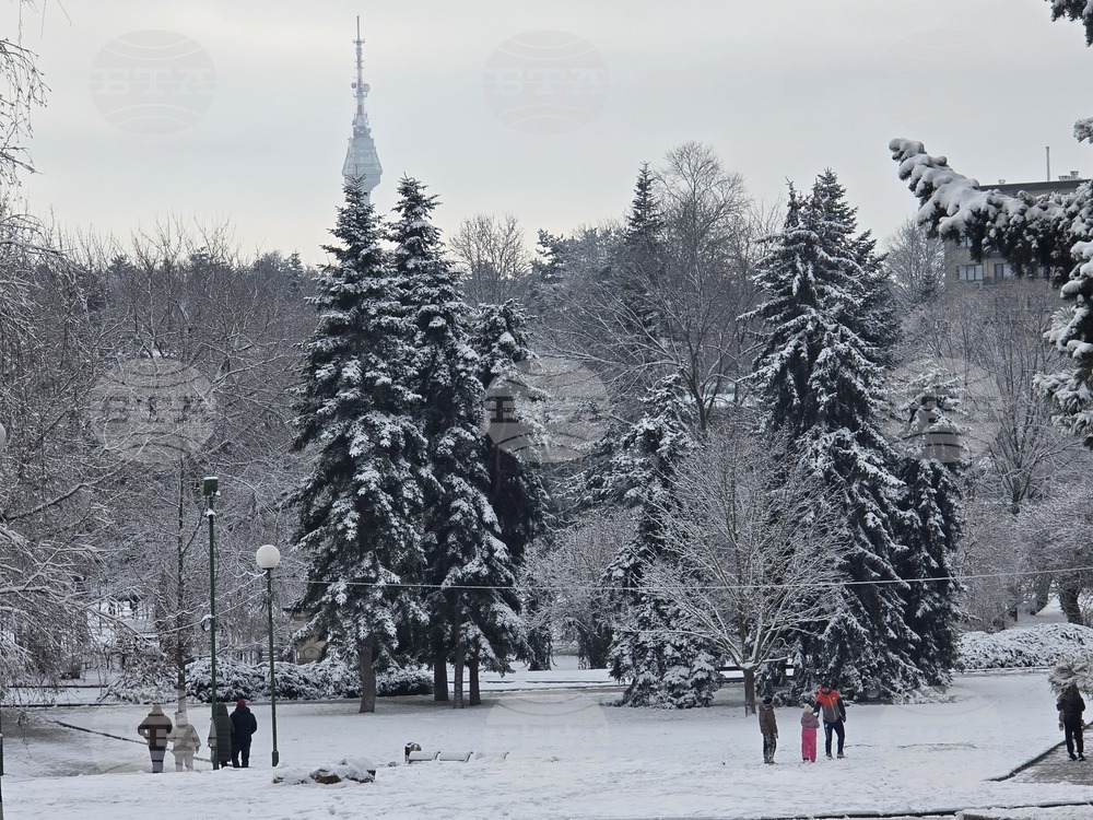Добрич - улици - парк - сняг