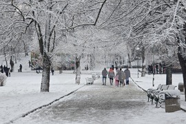 Добрич - улици - парк - сняг