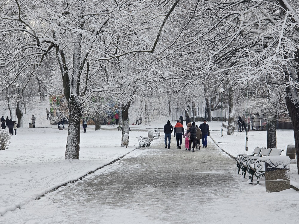Добрич - улици - парк - сняг