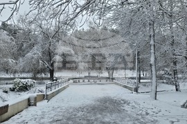 Добрич - улици - парк - сняг