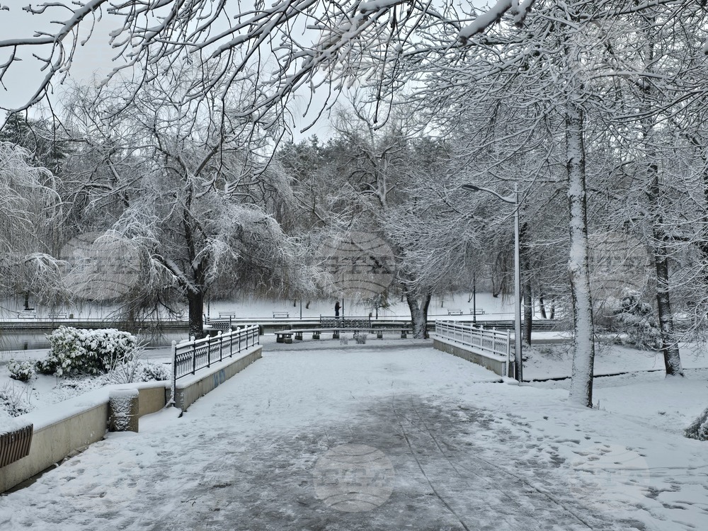 Добрич - улици - парк - сняг