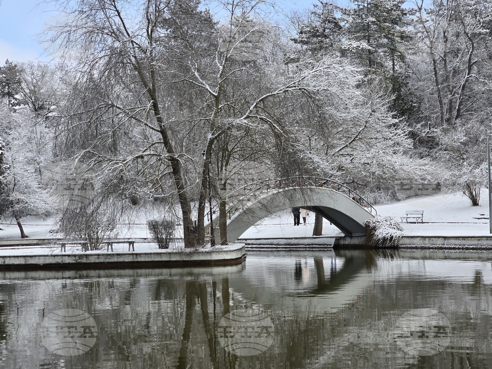 Добрич - улици - парк - сняг