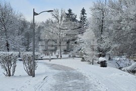 Добрич - улици - парк - сняг