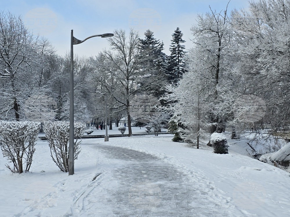 Добрич - улици - парк - сняг