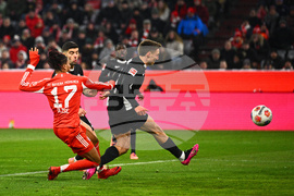 Germany Bundesliga Soccer