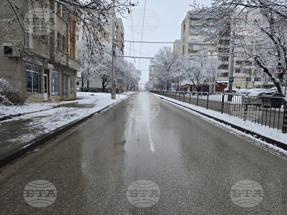 В Плевен обработват всички улици и тротоари срещу заледяване