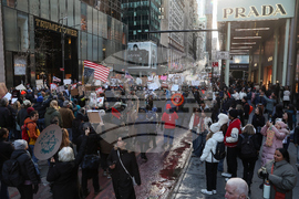 Immigration Enforcement New York