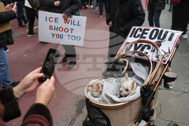 Immigration Enforcement New York