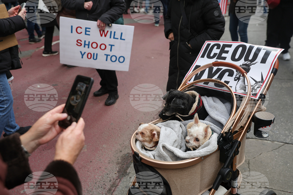 Immigration Enforcement New York