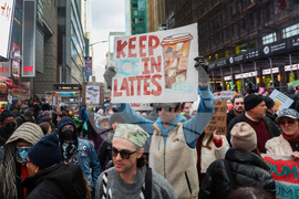 Immigration Enforcement New York