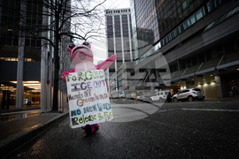 Canada US Ice Out Rally
