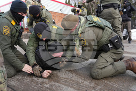 Immigration Enforcement Minnesota