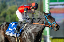 Santa Anita Horse Racing