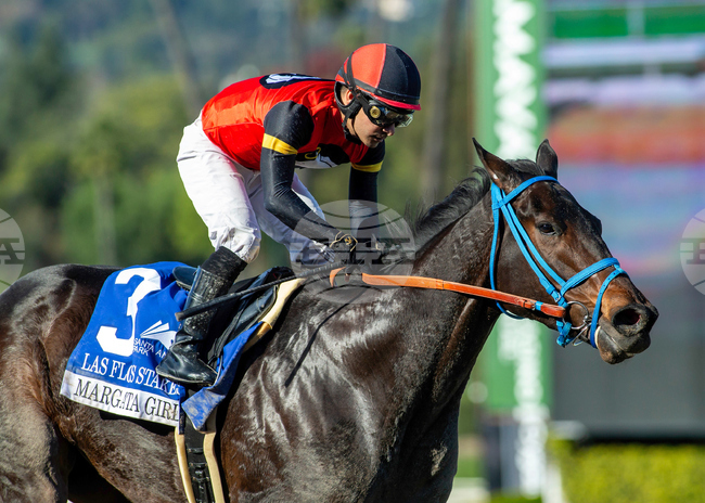 Santa Anita Horse Racing