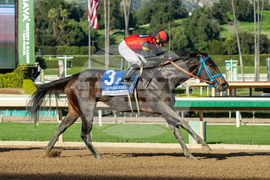 Santa Anita Horse Racing