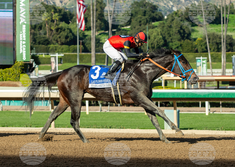 Santa Anita Horse Racing