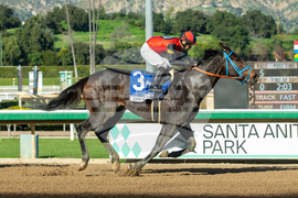 Santa Anita Horse Racing