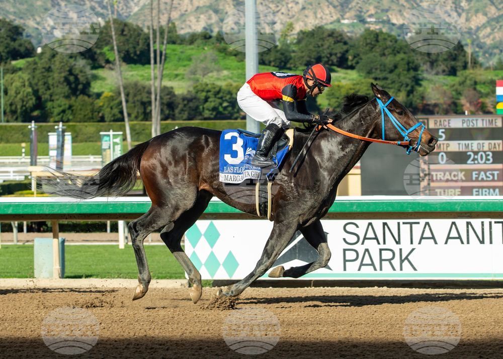 Santa Anita Horse Racing