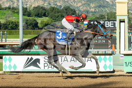 Santa Anita Horse Racing