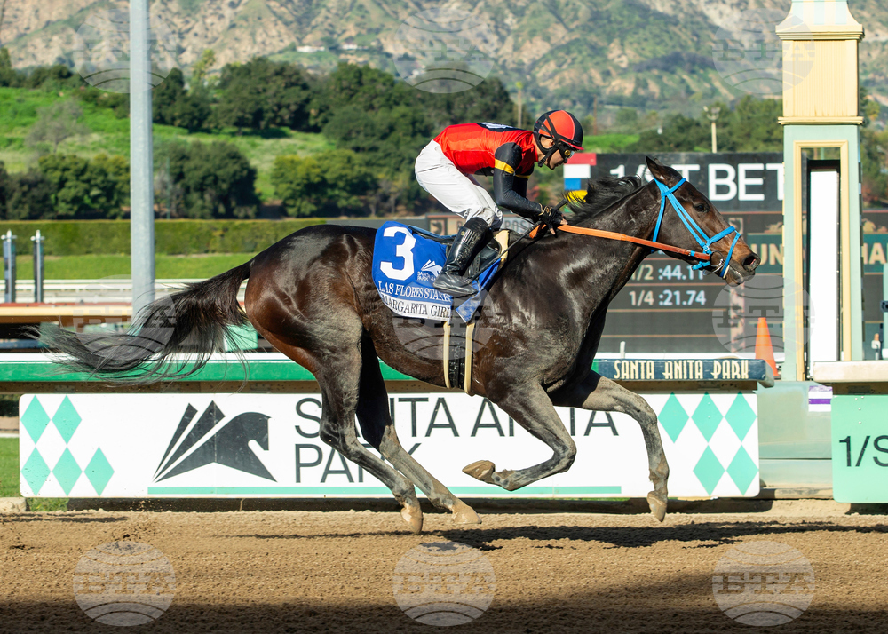 Santa Anita Horse Racing