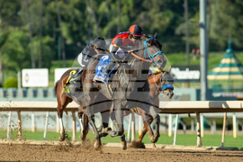Santa Anita Horse Racing