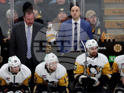 Penguins Bruins Hockey