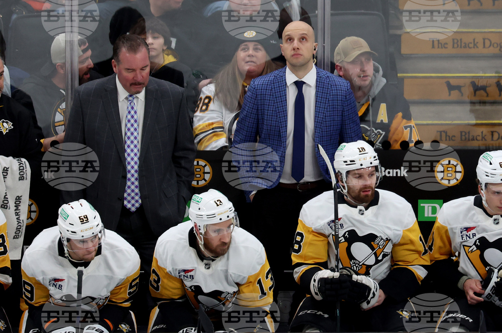 Penguins Bruins Hockey