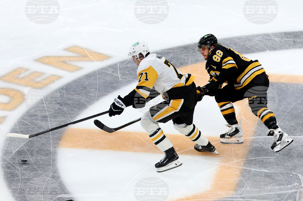 Penguins Bruins Hockey