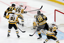 Penguins Bruins Hockey