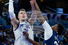 Pelicans Magic Basketball